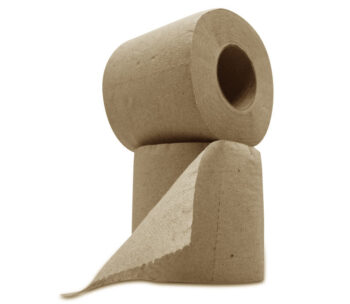 Papel Higiénico 250MT x 4 rollos Eco Institucional